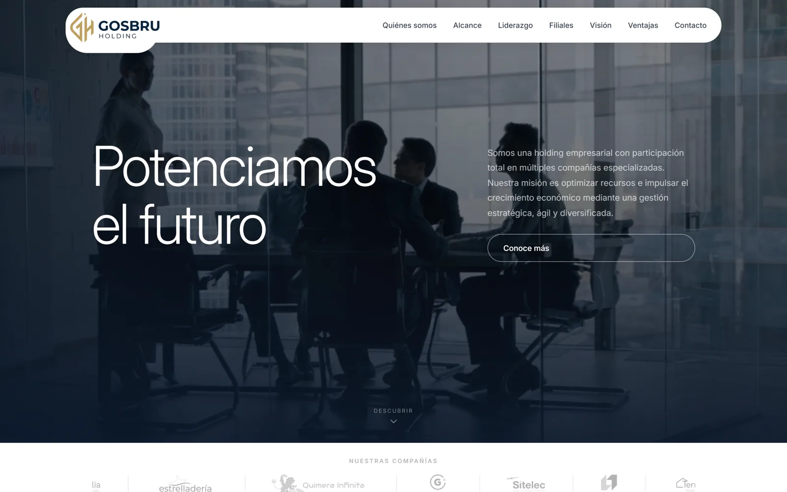 Web de Gosbru Holding